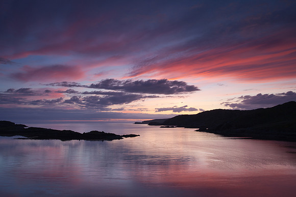 Scourie-1