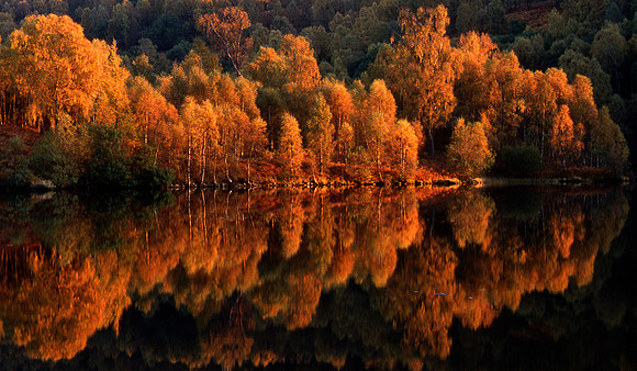 Loch Tay